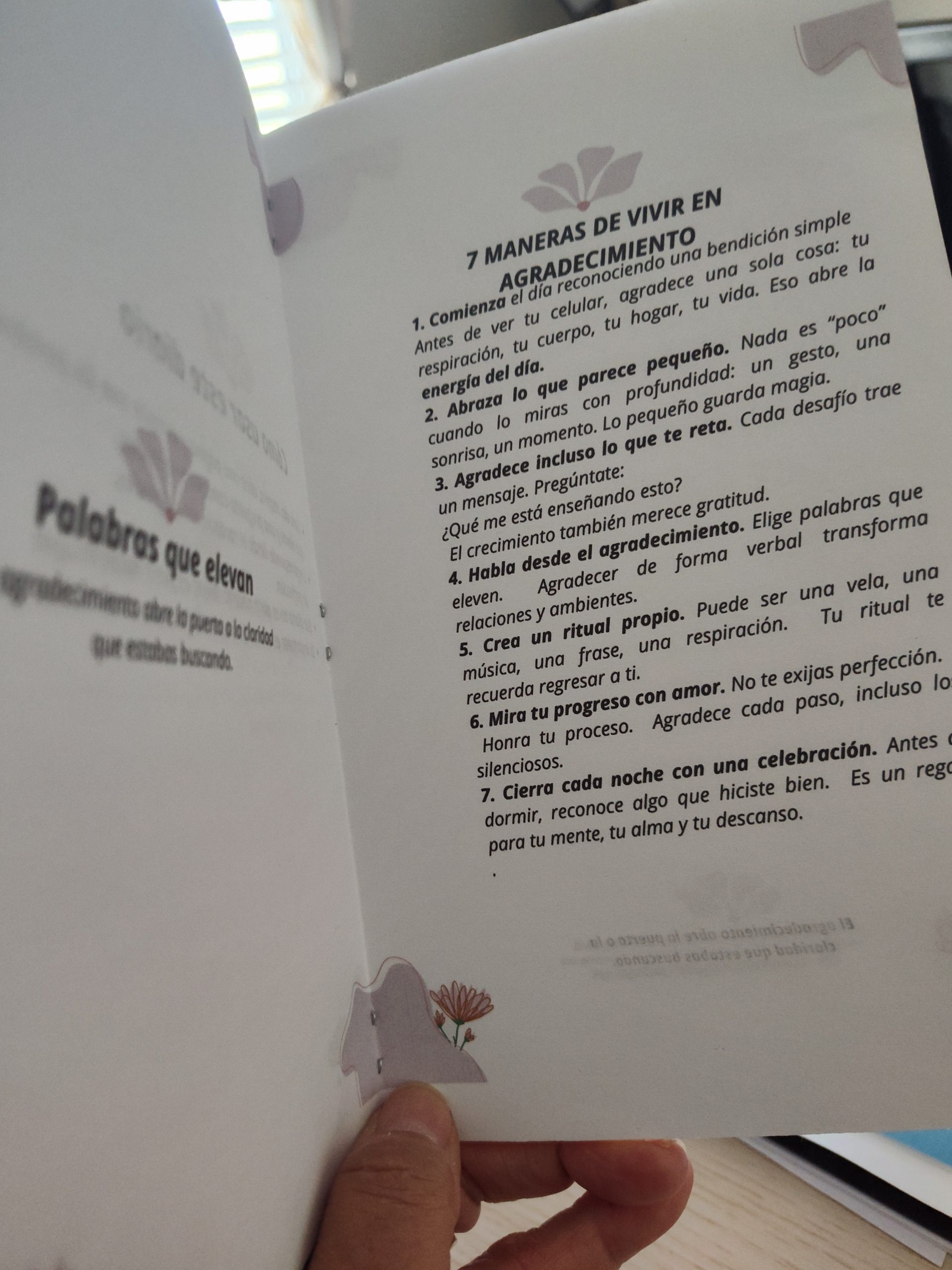 DIARIO DE AGRADECIMIENTO CONSCIENTE – ACI - Imagen 2