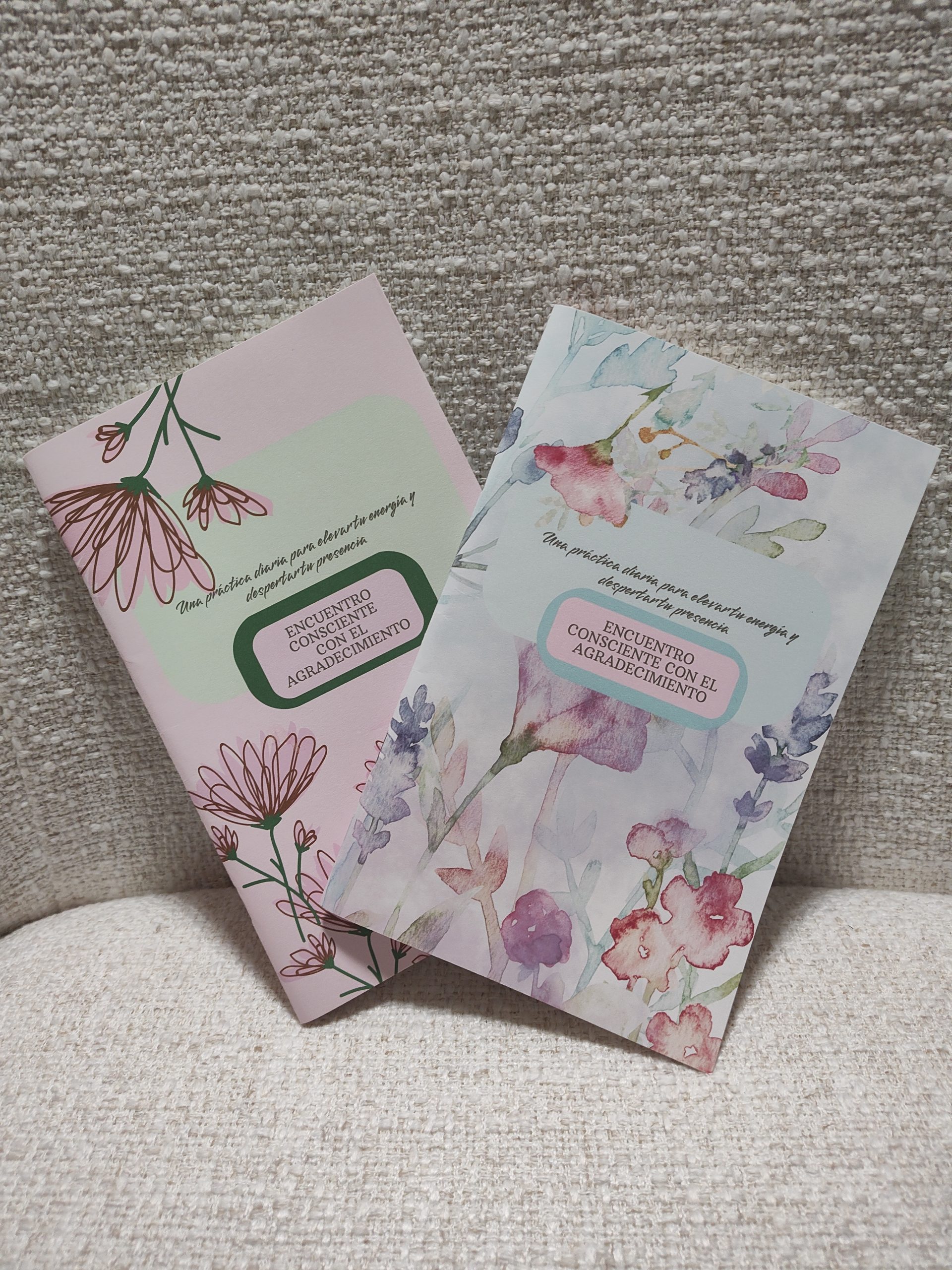 DIARIO DE AGRADECIMIENTO CONSCIENTE – ACI